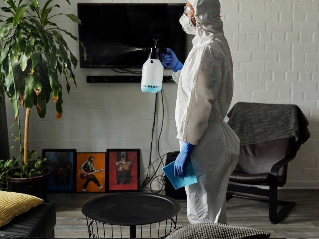 pest-free-pest-control-sanitise-your-home-1366×768